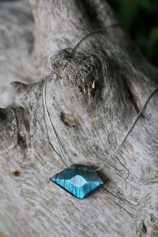 Labradorite Sparrow Silver Necklace