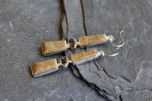 Fossil Coral Smokey Quartz Earrings
