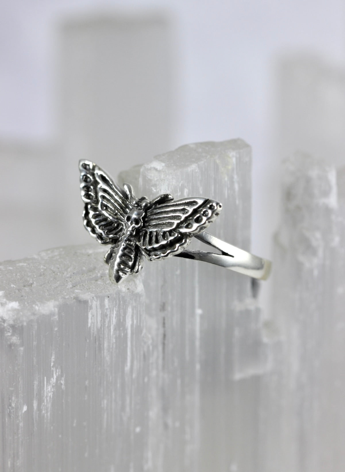Silver Moth Ring