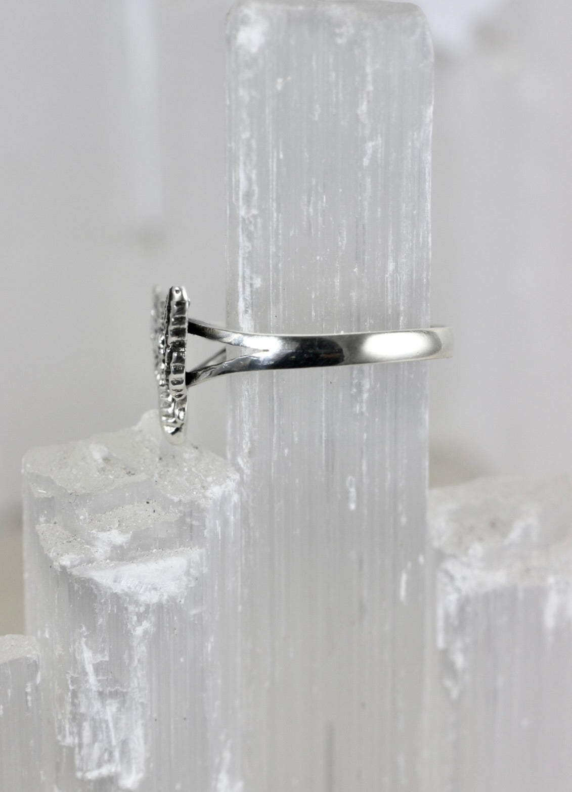 Silver Moth Ring