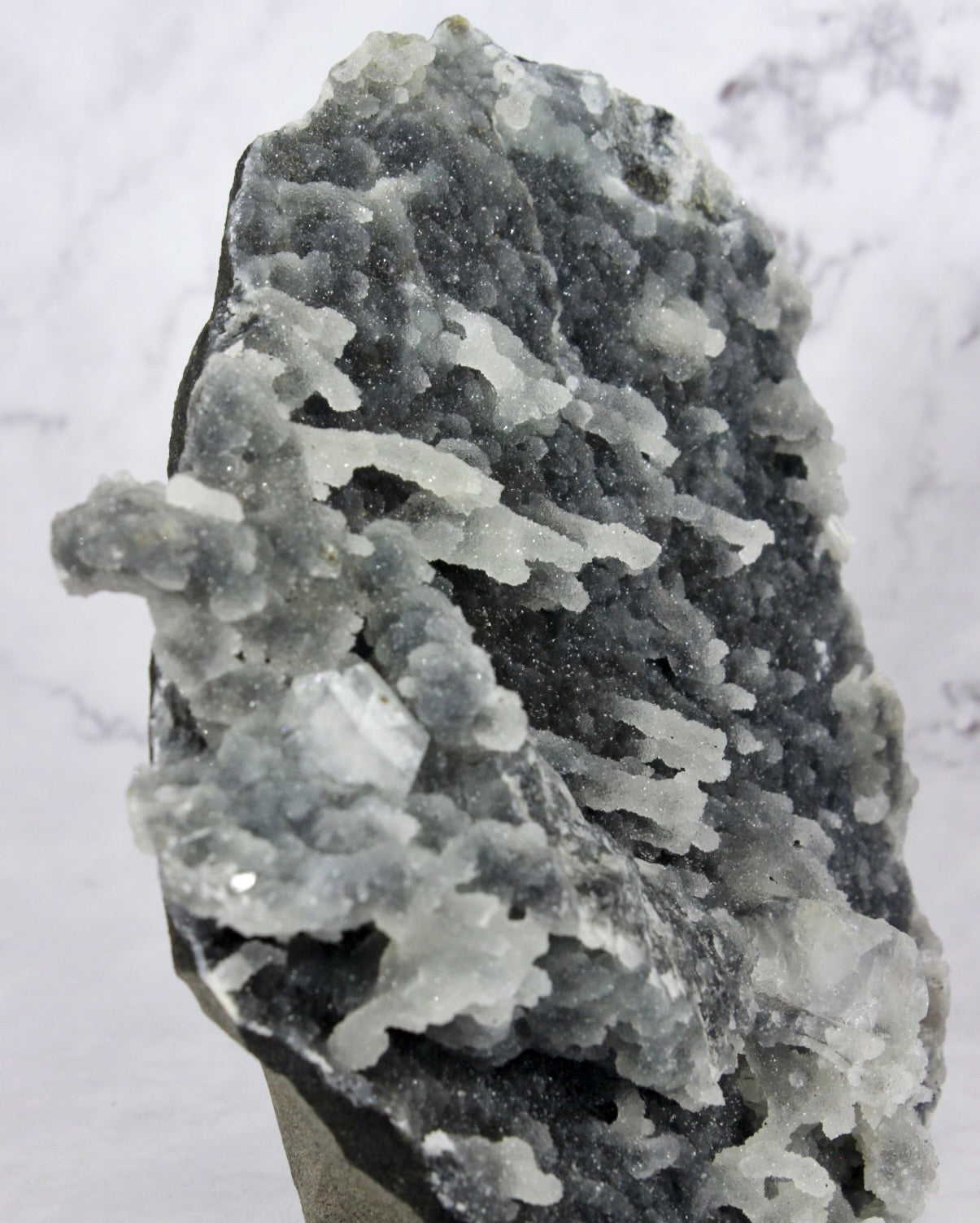 Apophyllite on Druzy Black Chalcedony