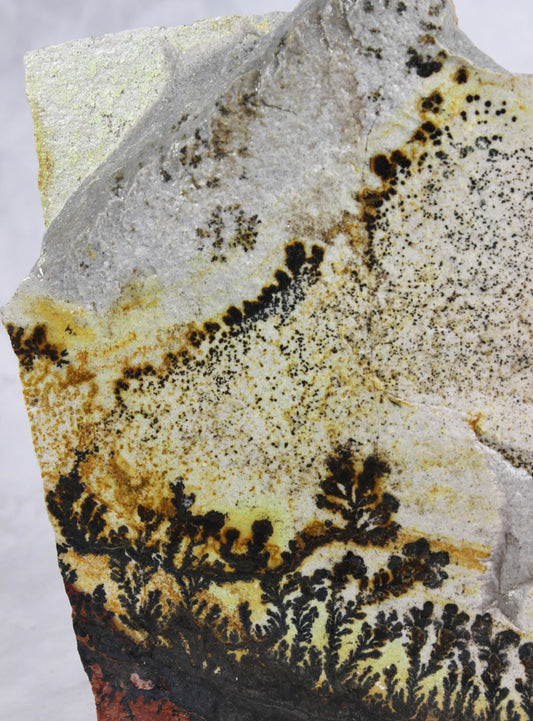 Angular Dendritic Quartzite