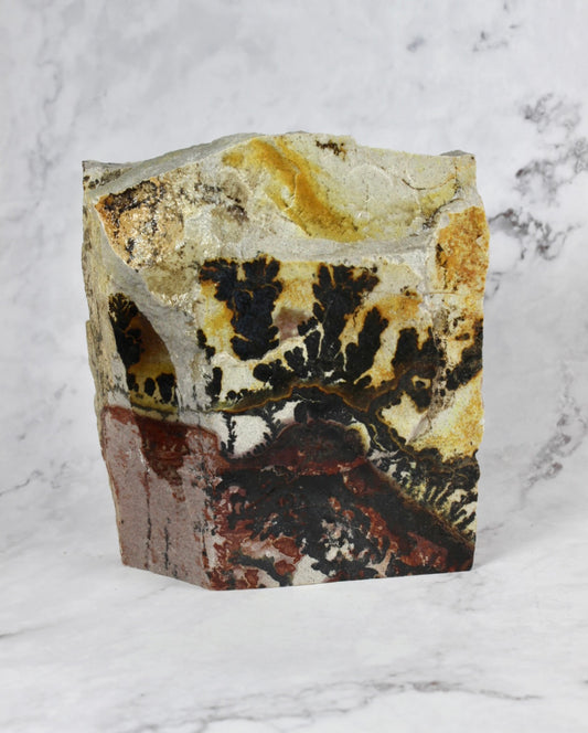 Small Dendritic Quartzite