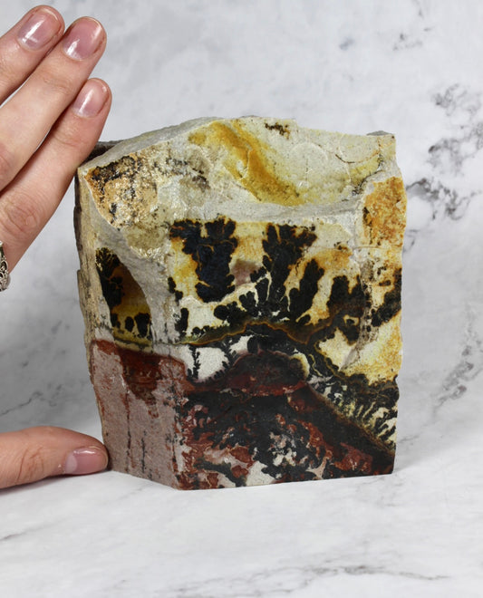 Small Dendritic Quartzite