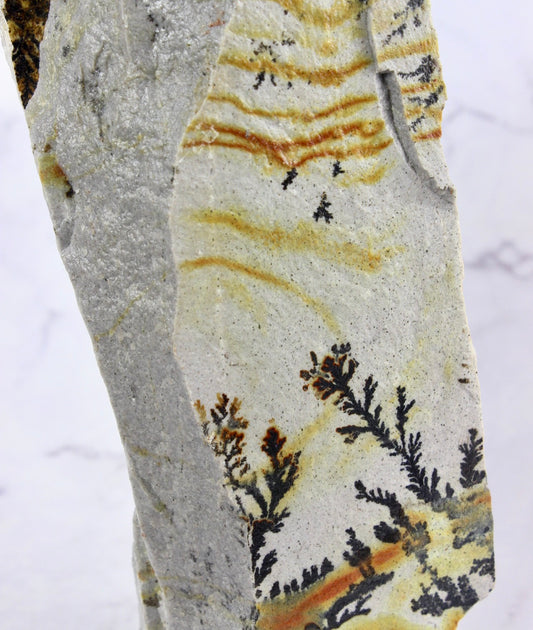 Tall Dendritic Quartzite
