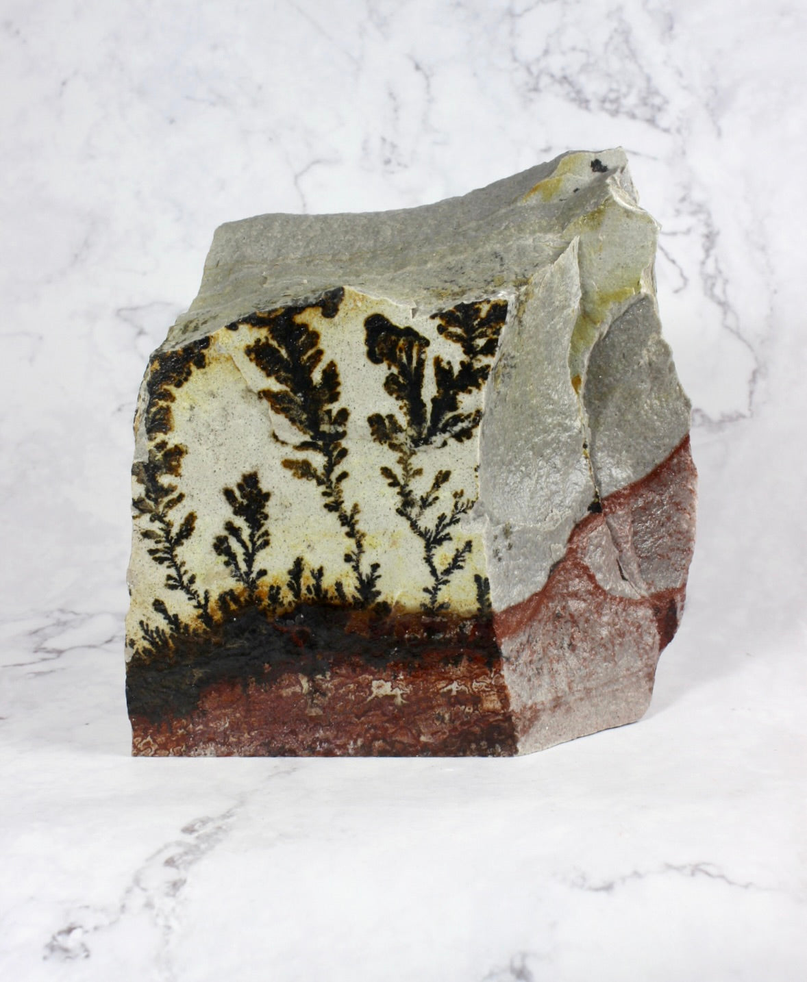 Chunky Dendritic Quartzite