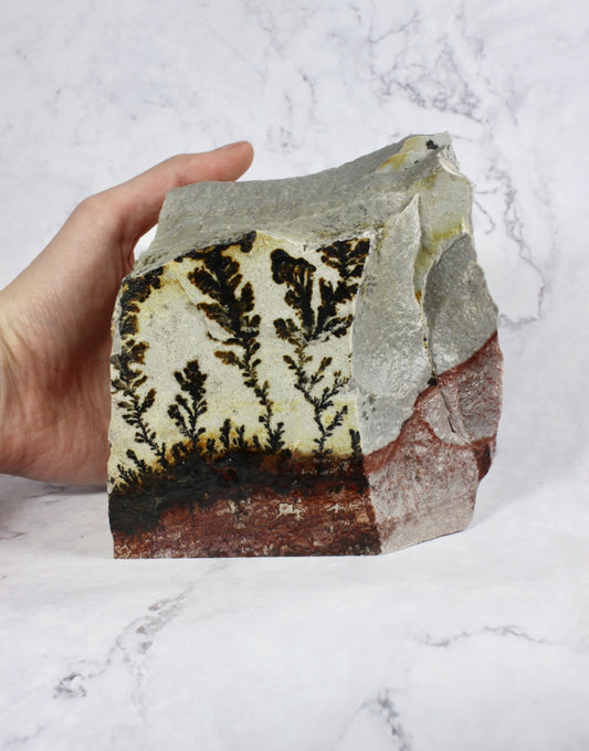 Chunky Dendritic Quartzite