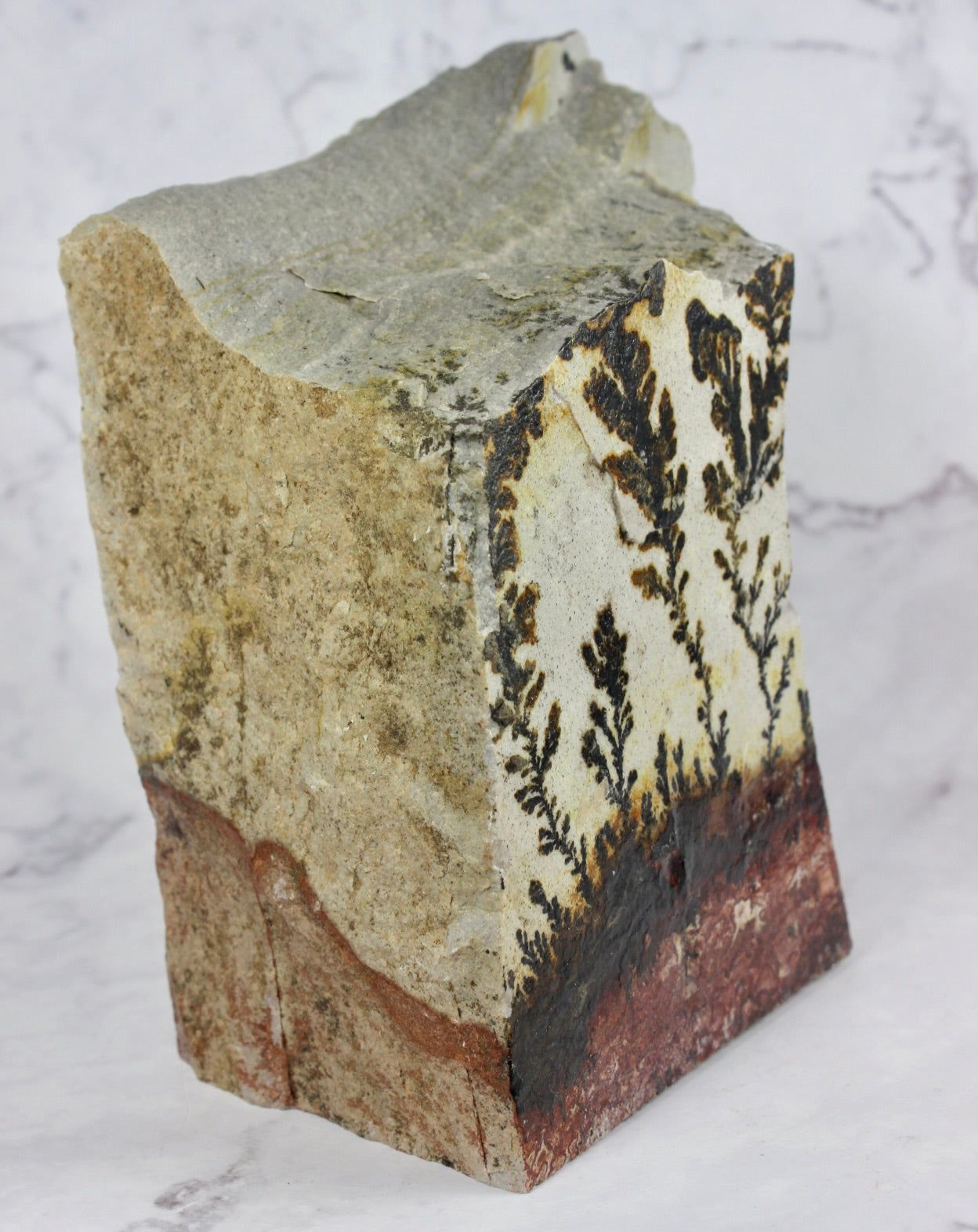 Chunky Dendritic Quartzite