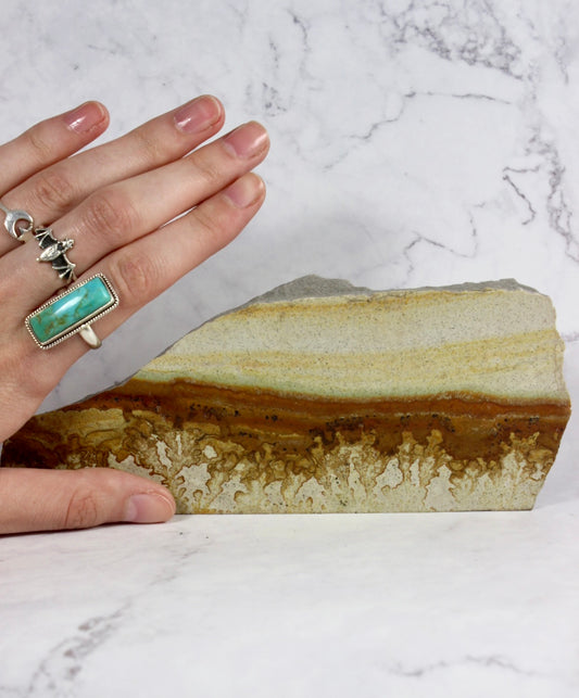 Oblong Dendritic Quartzite