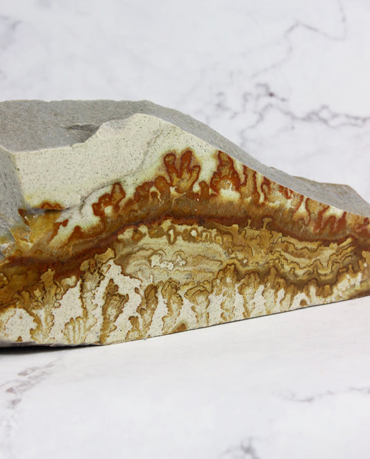 Oblong Dendritic Quartzite