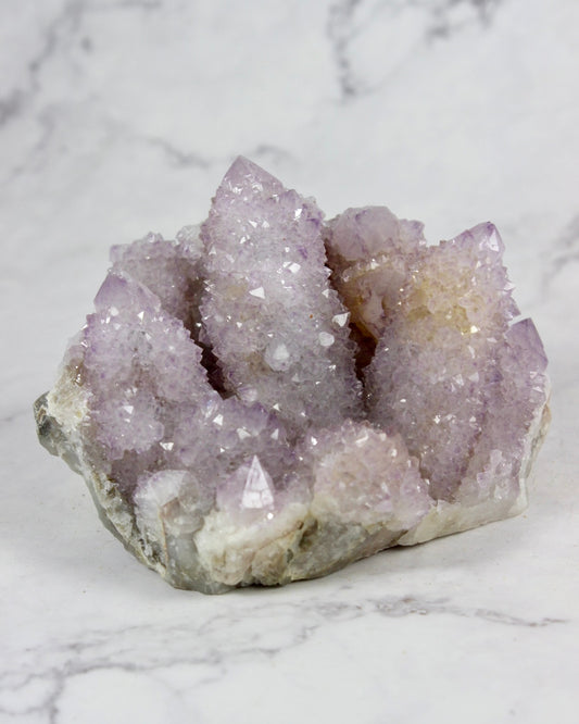 Cactus Amethyst Specimens