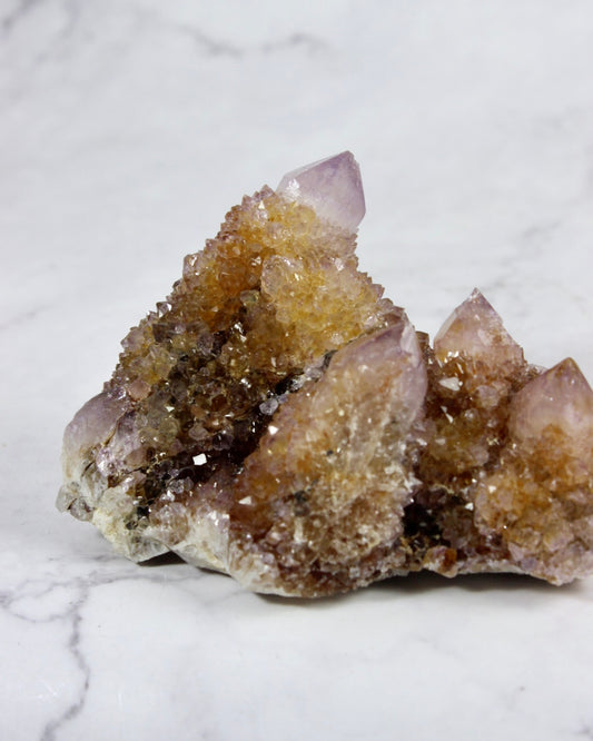 Cactus Amethyst Specimens