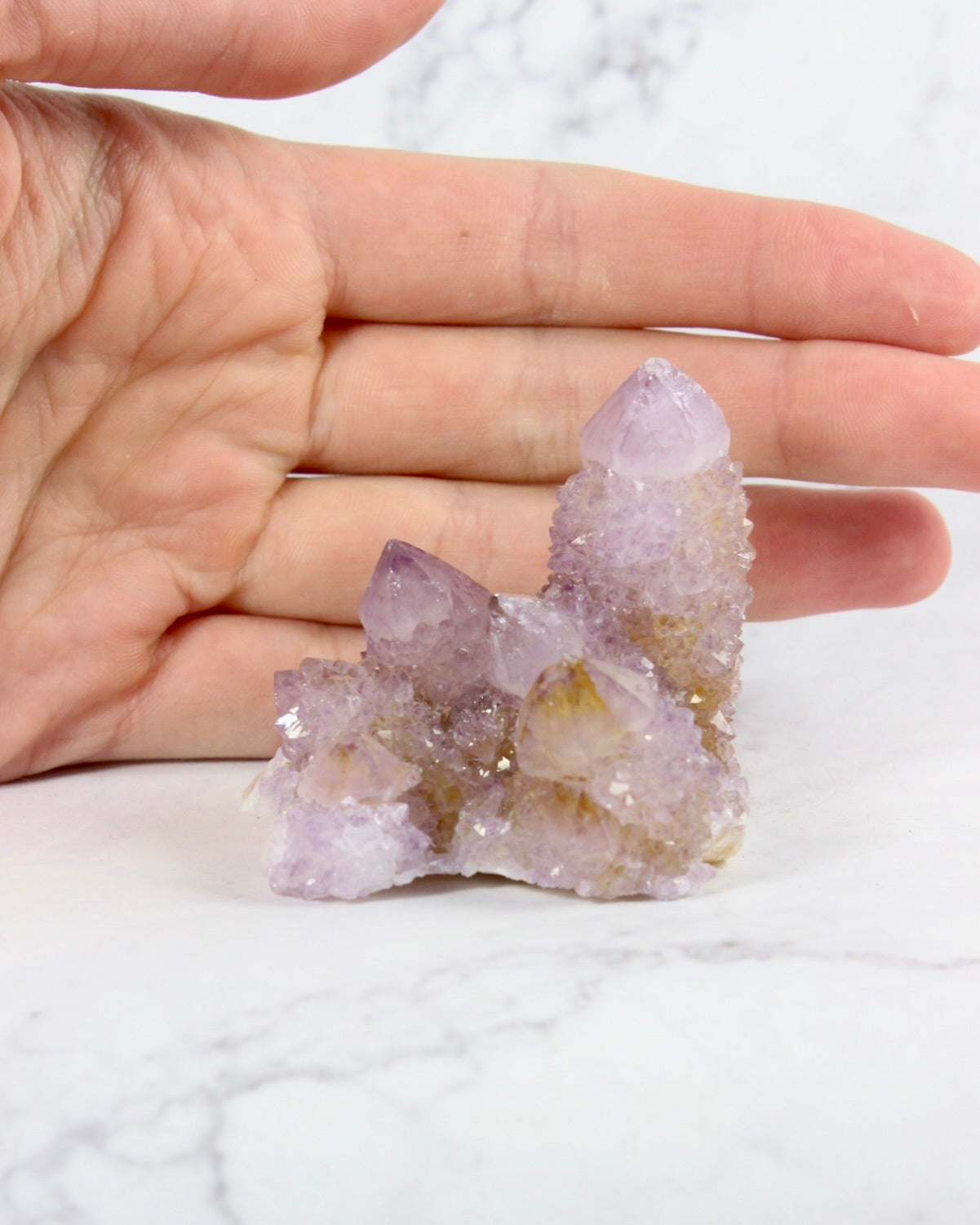 Cactus Amethyst