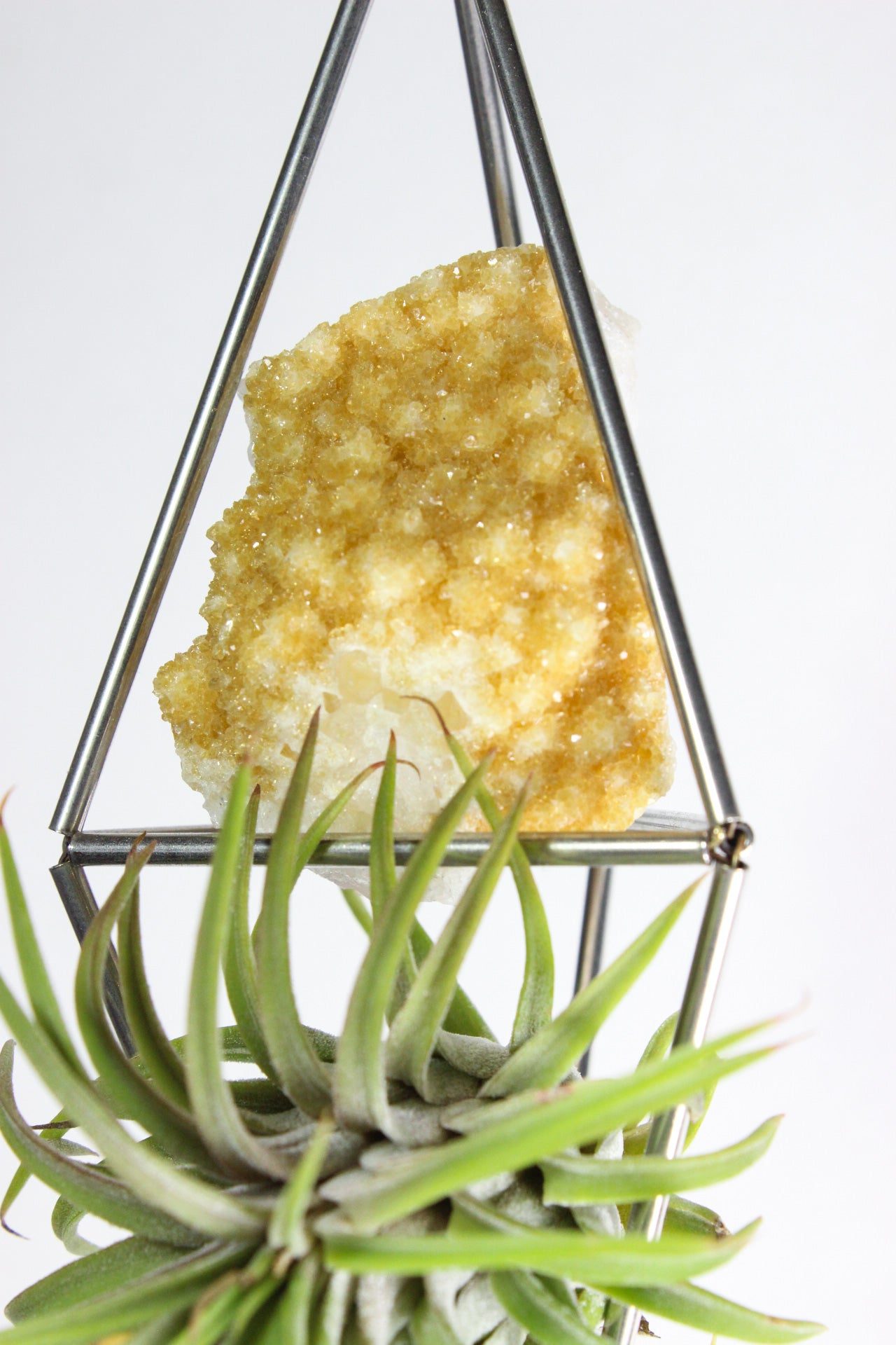 Citrine Stained Glass Sun Catcher Ornament with Airplant