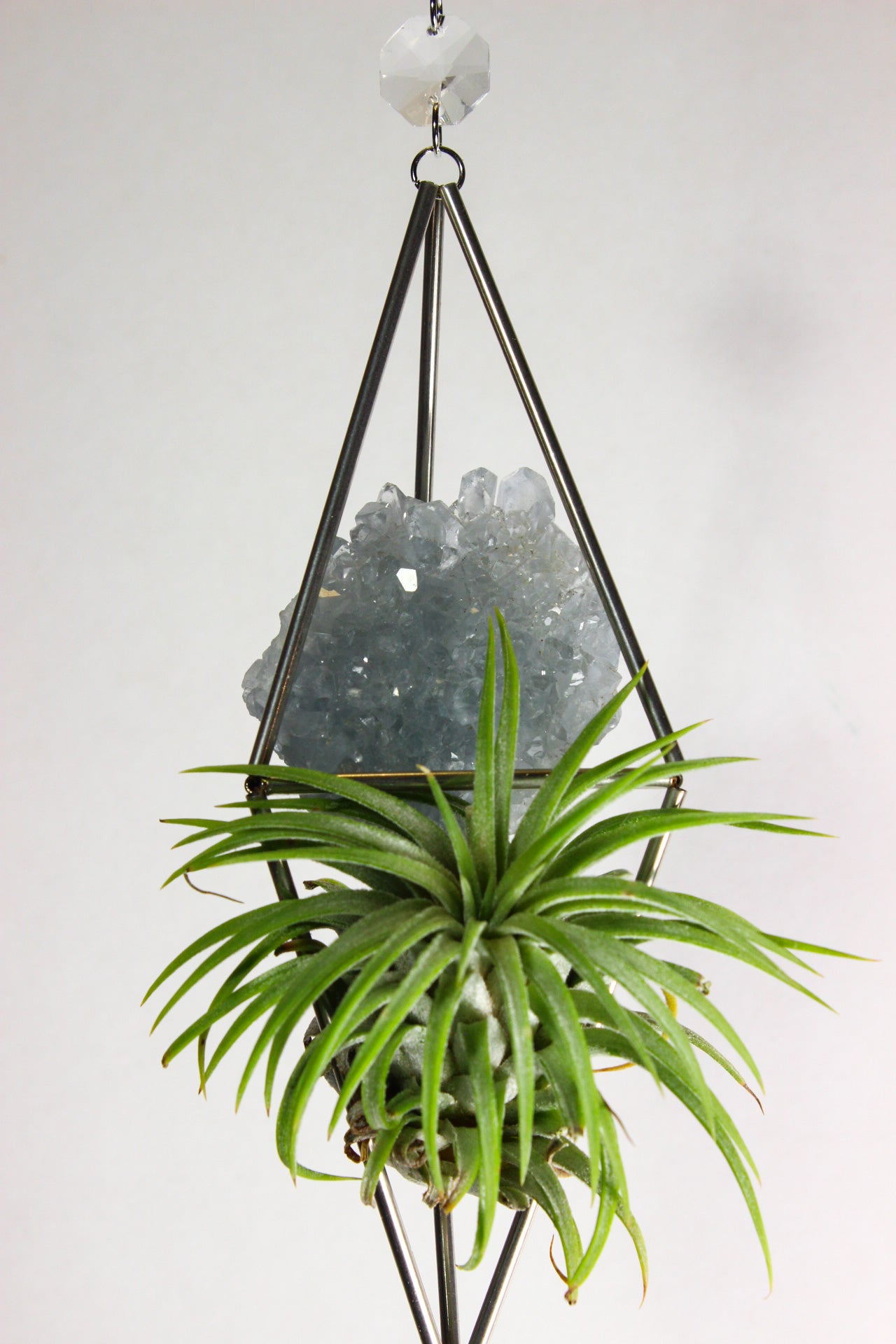 Celestite Crystal Stained Glass Sun Catcher with Air Plant
