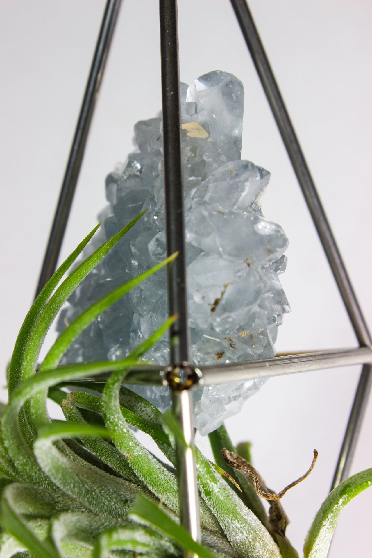 Celestite Crystal Stained Glass Sun Catcher with Air Plant