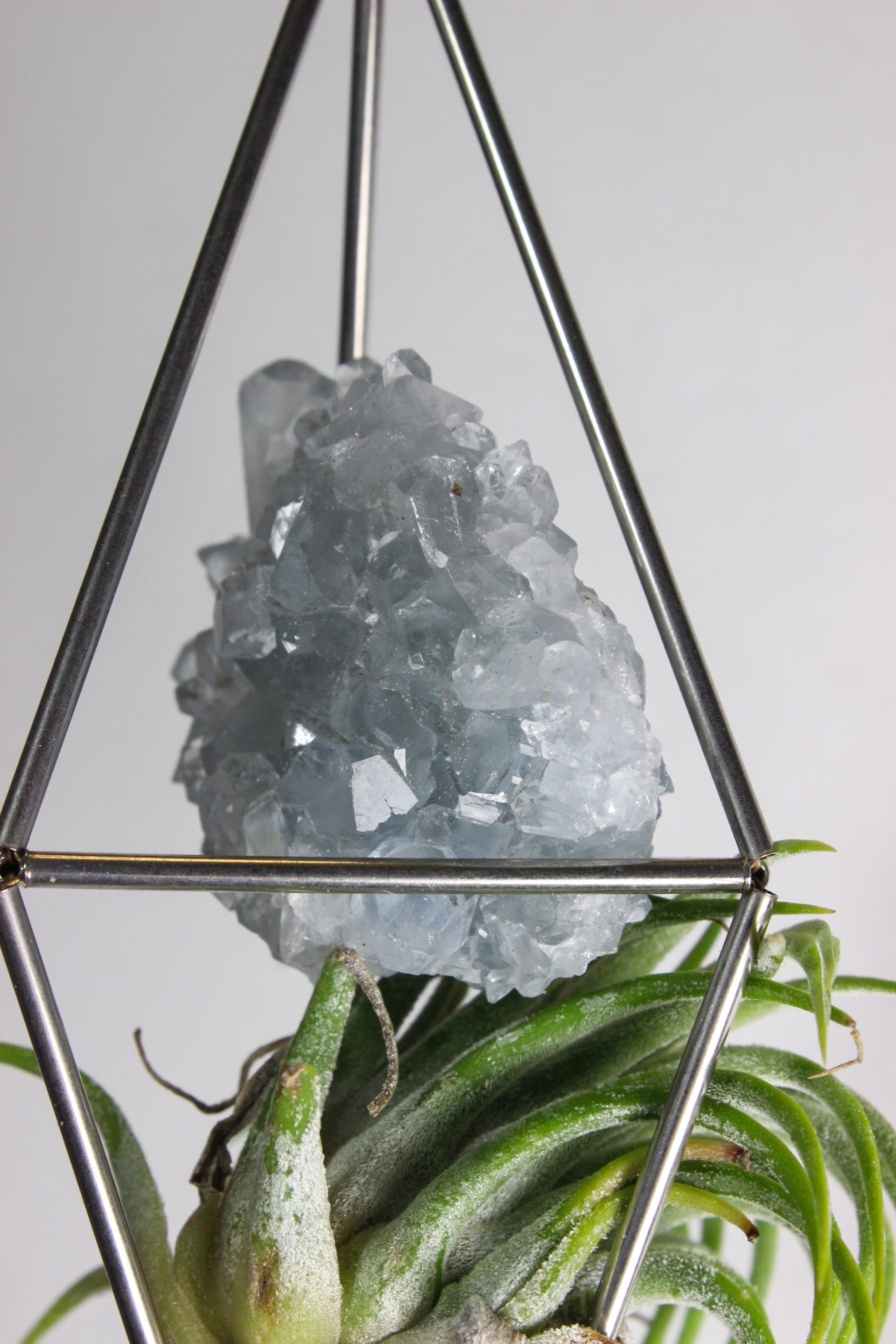 Celestite Crystal Stained Glass Sun Catcher with Air Plant