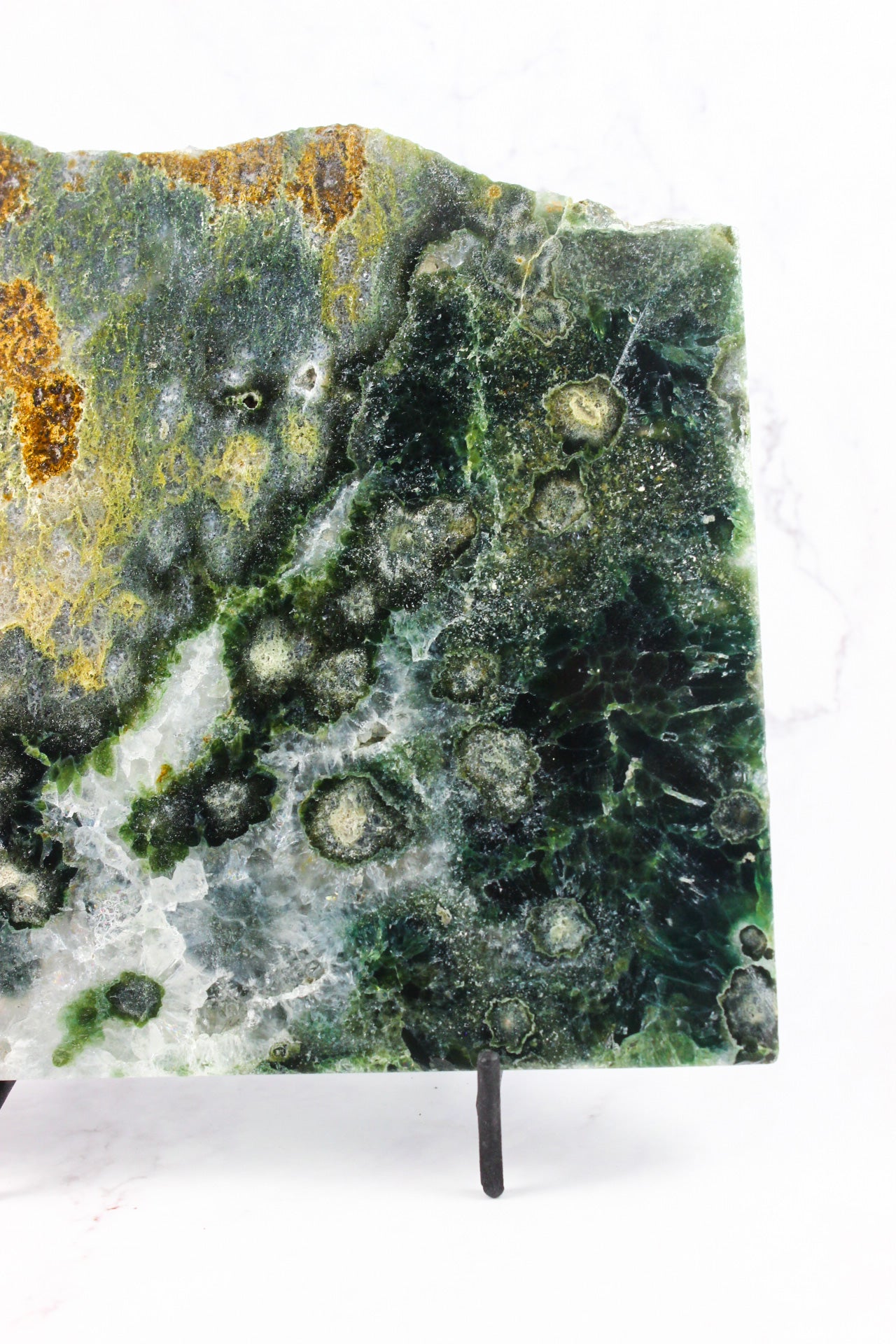 Large Ocean Jasper Slab