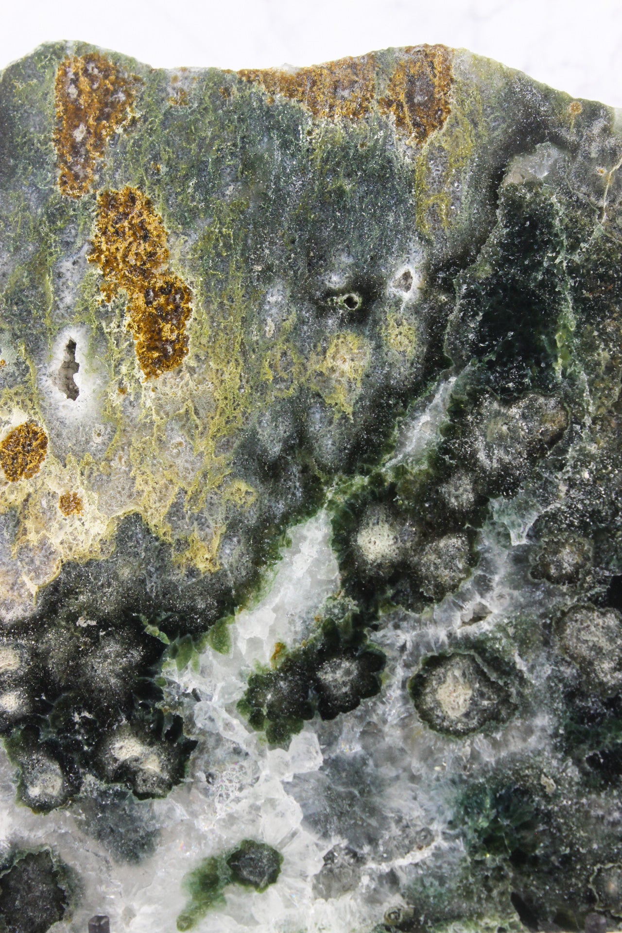 Large Ocean Jasper Slab