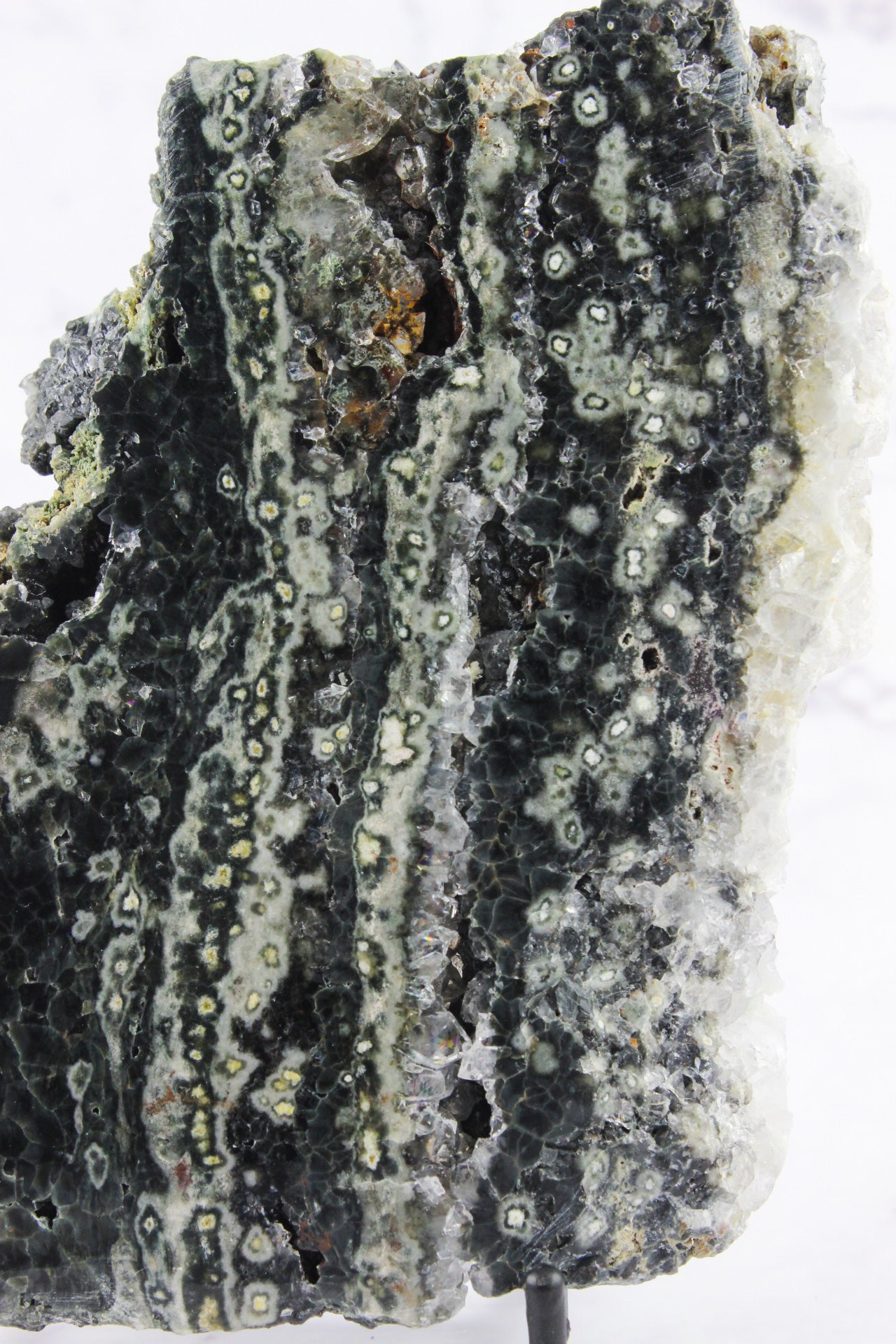 Ocean Jasper Slab