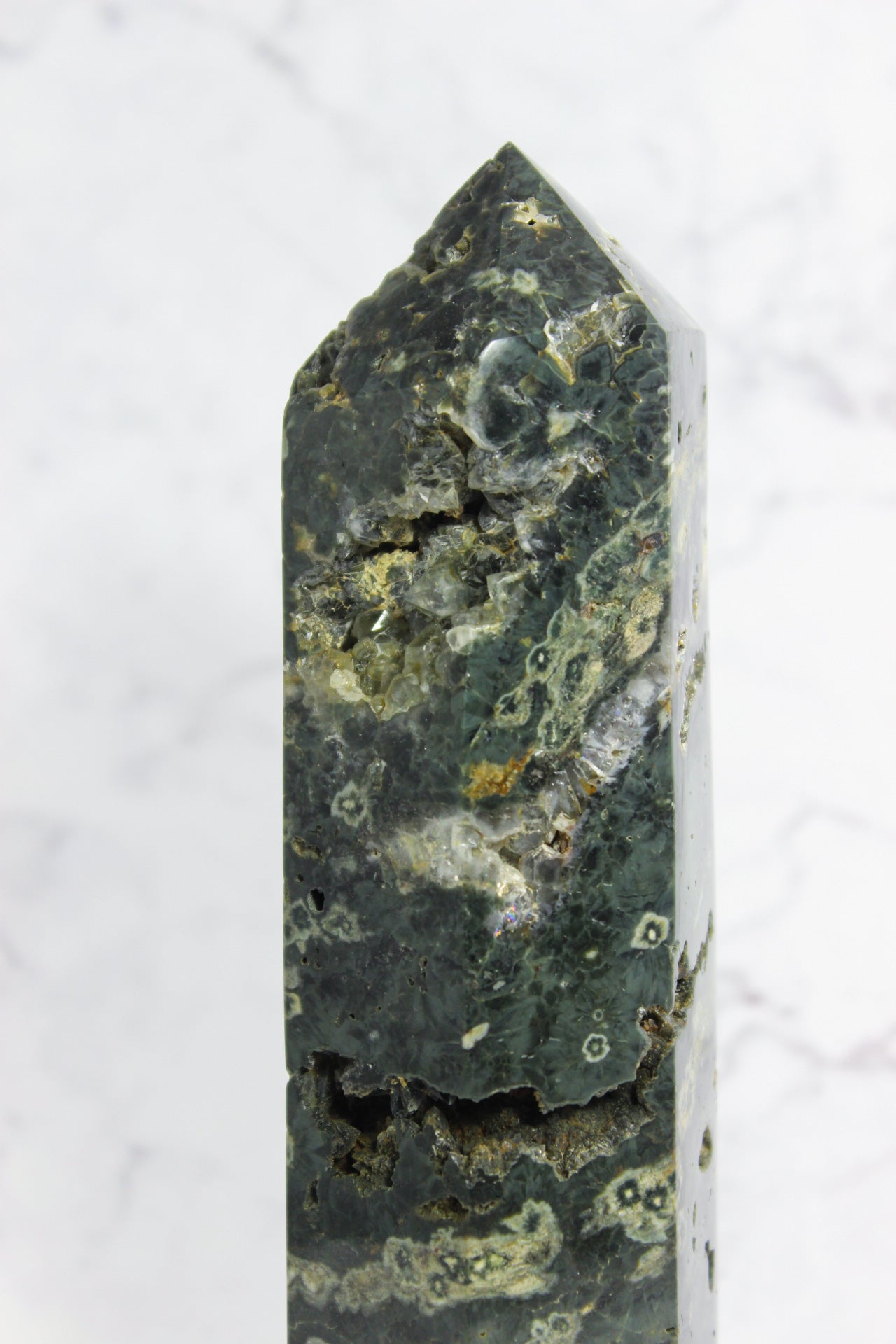 Ocean Jasper Point