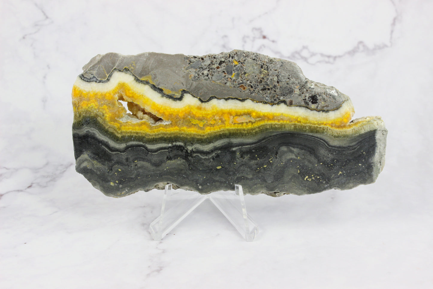 Bumble Bee Jasper Slab #1