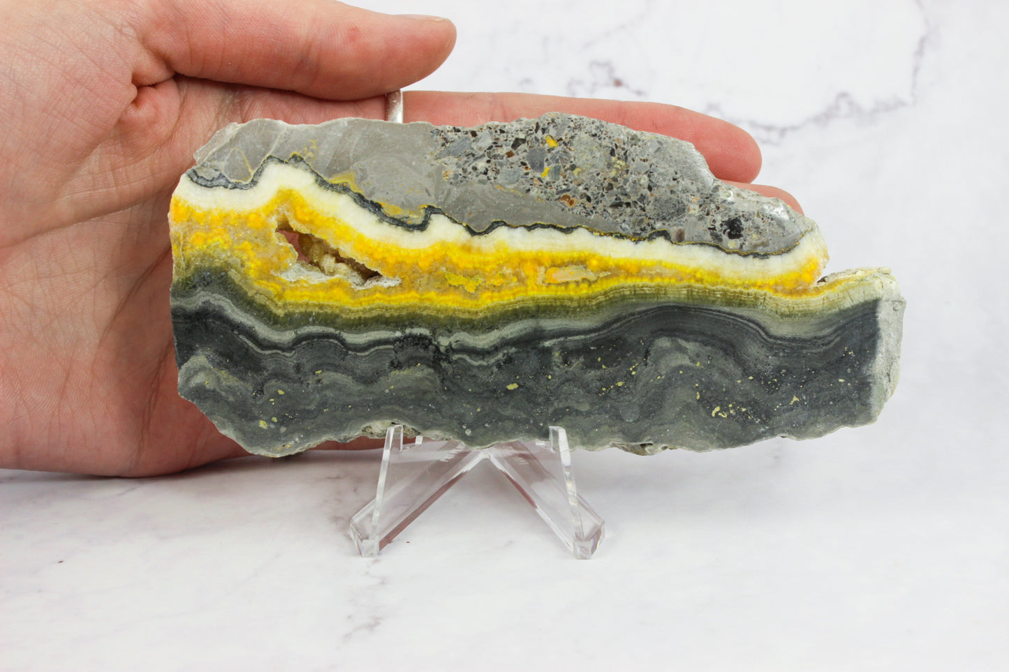 Bumble Bee Jasper Slab #1