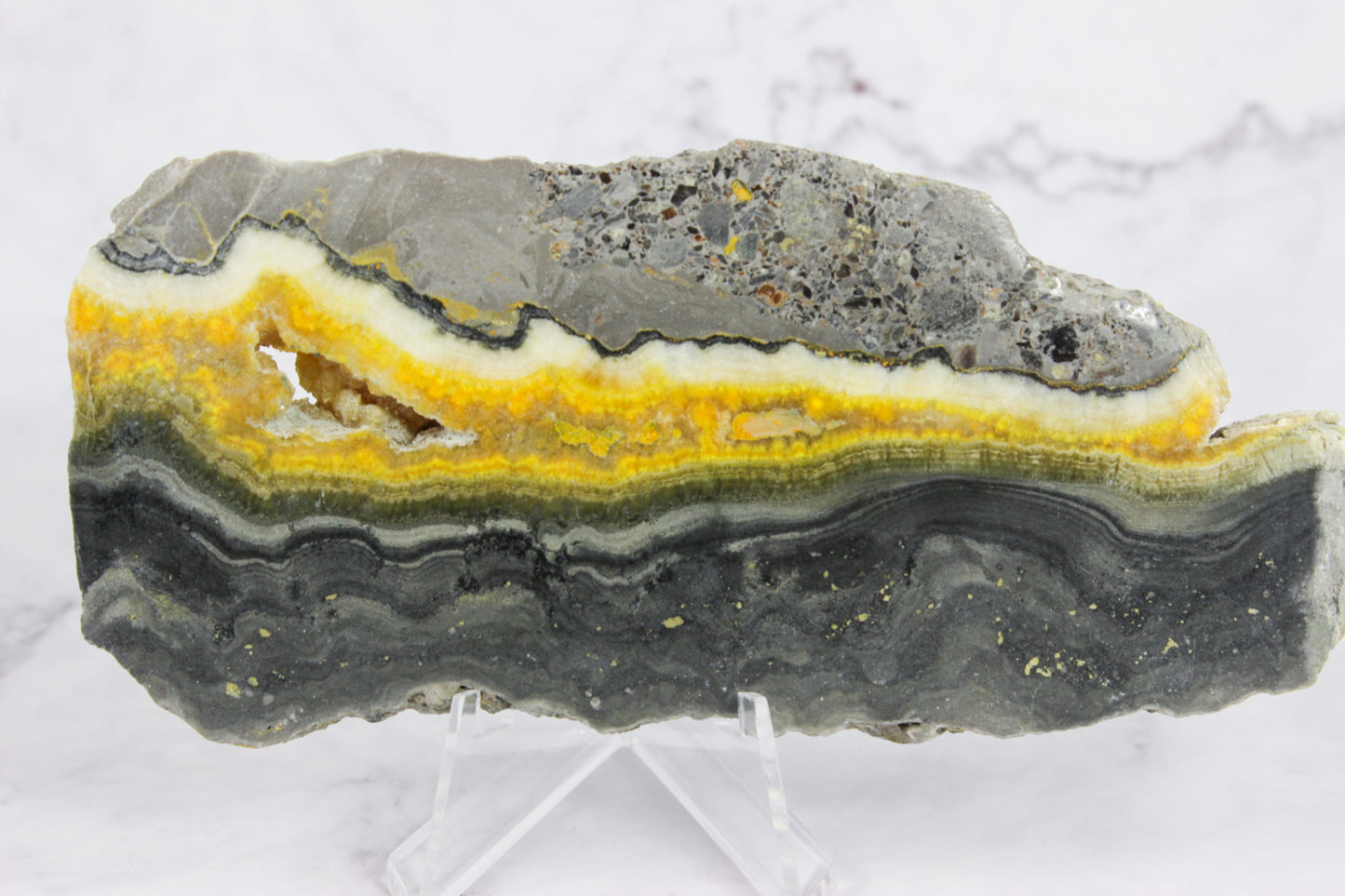 Bumble Bee Jasper Slab #1