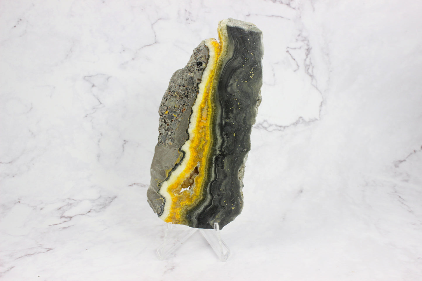 Bumble Bee Jasper Slab #1