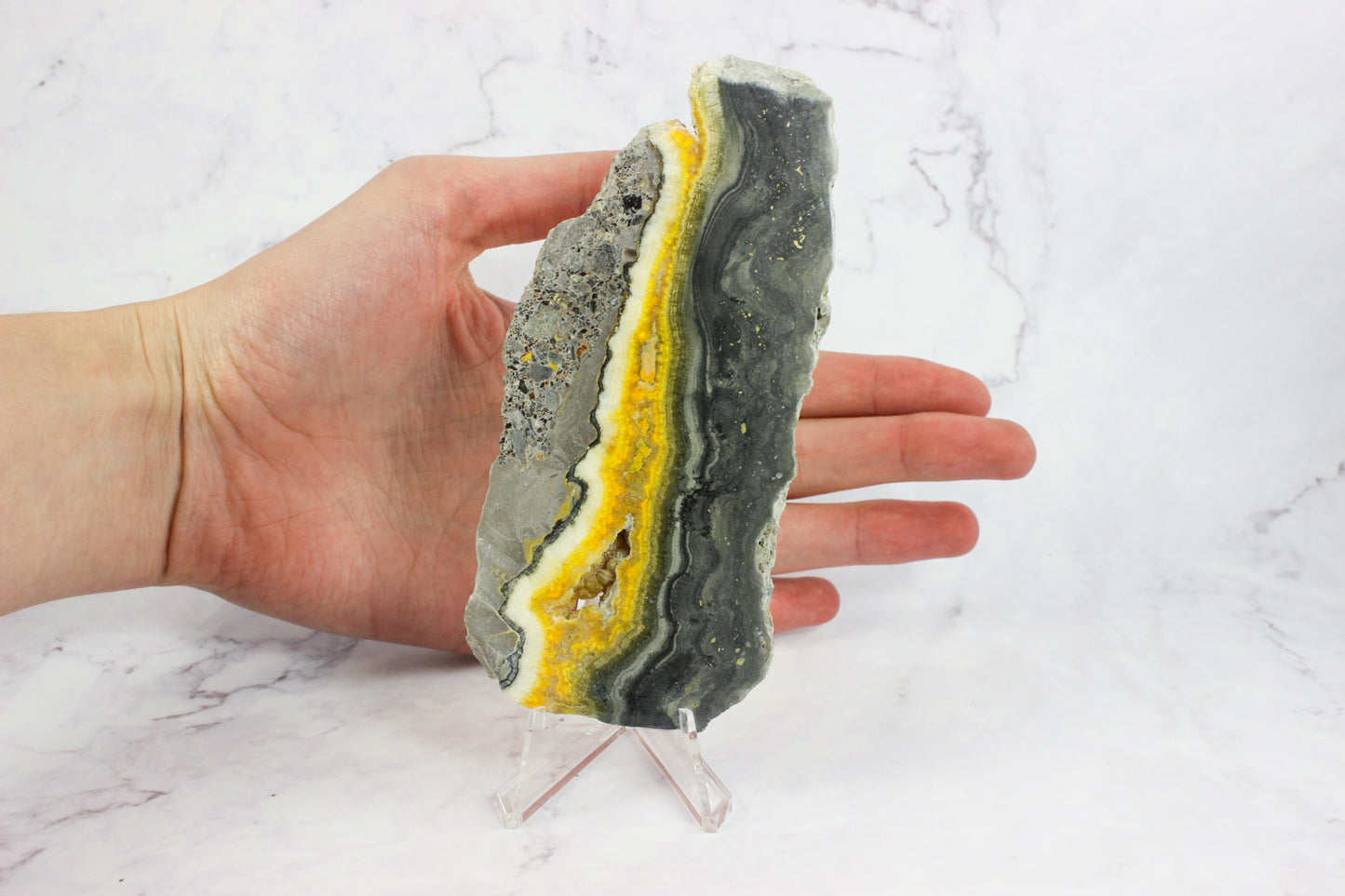 Bumble Bee Jasper Slab #1