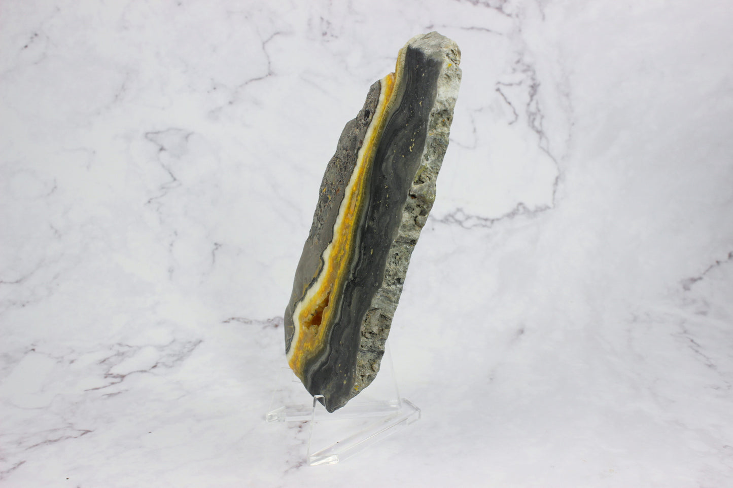 Bumble Bee Jasper Slab #1