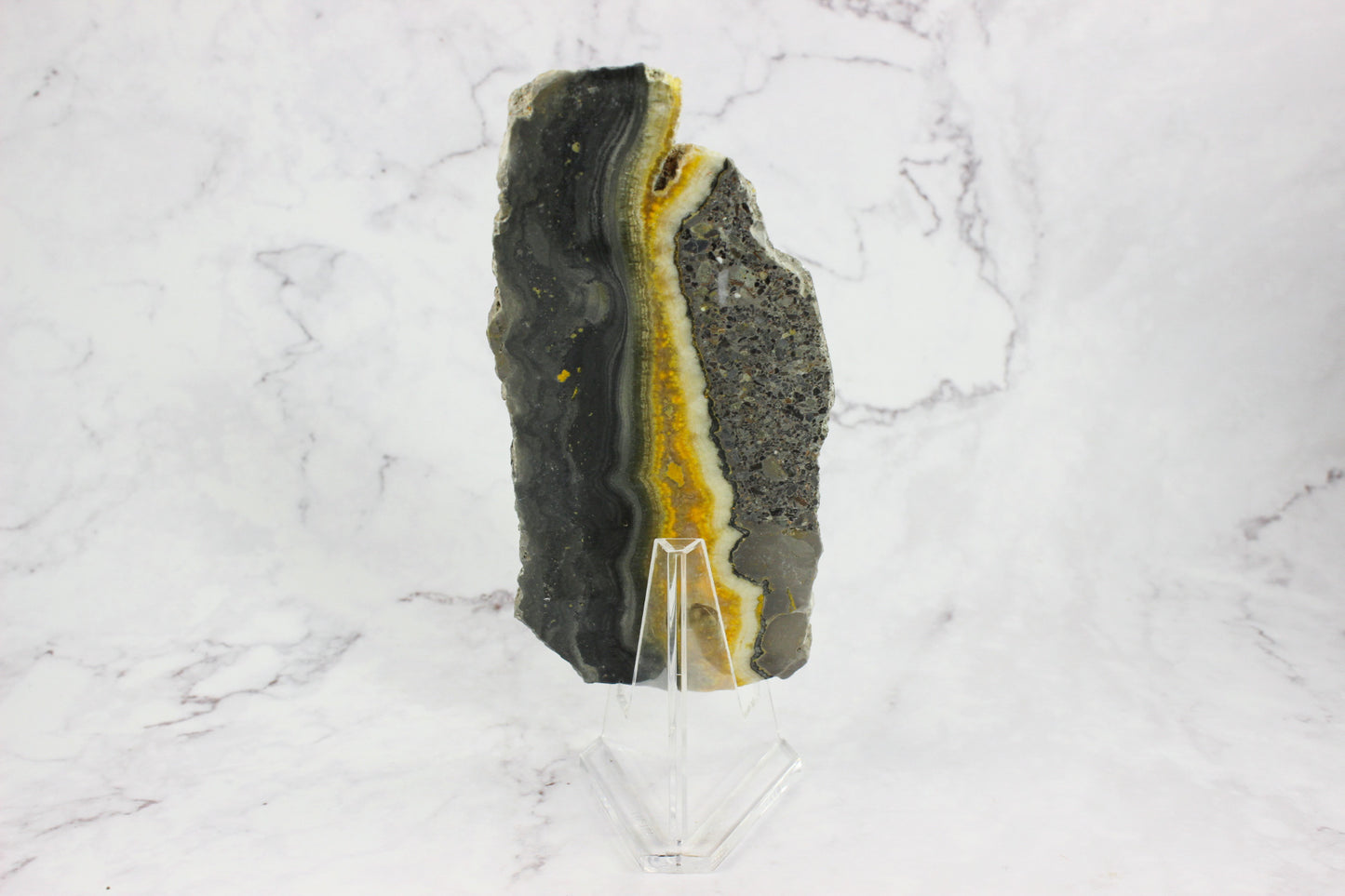 Bumble Bee Jasper Slab #1