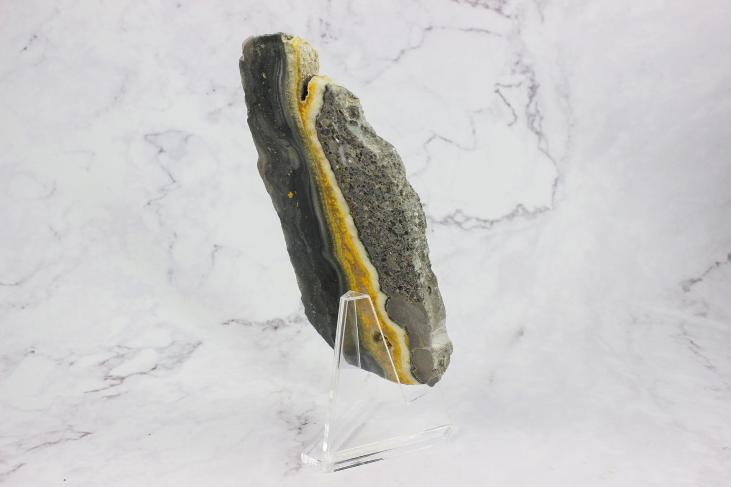 Bumble Bee Jasper Slab #1