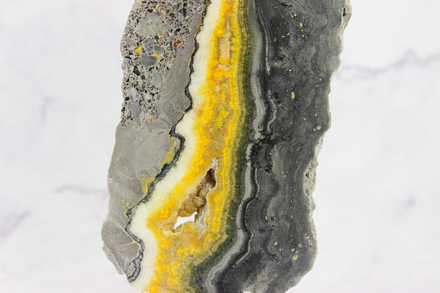 Bumble Bee Jasper Slab #1