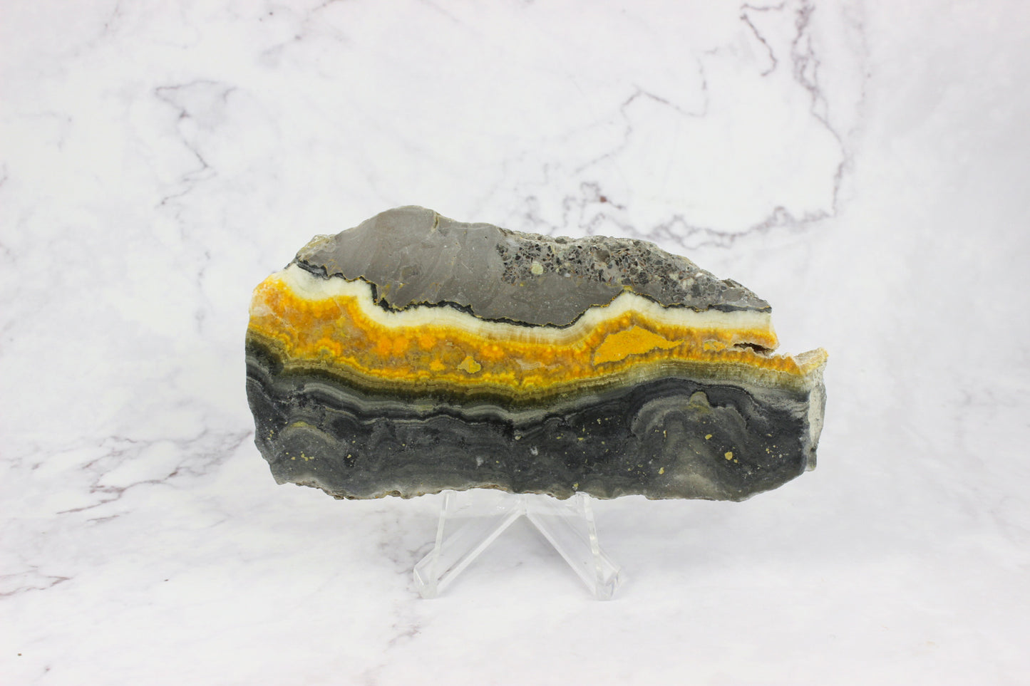 Bumble Bee Jasper Slab #2