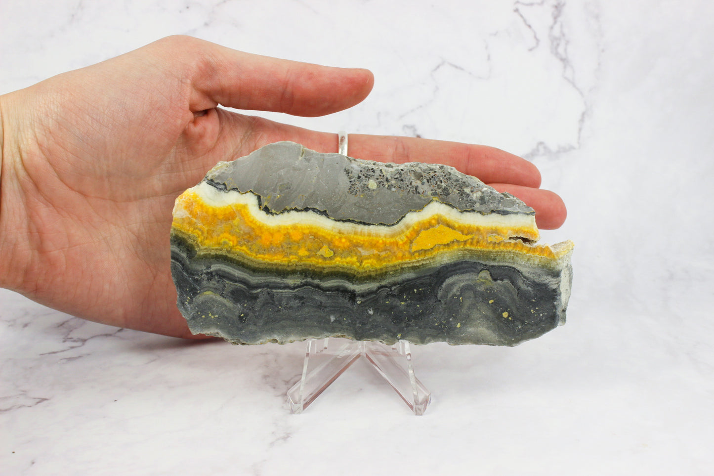 Bumble Bee Jasper Slab #2