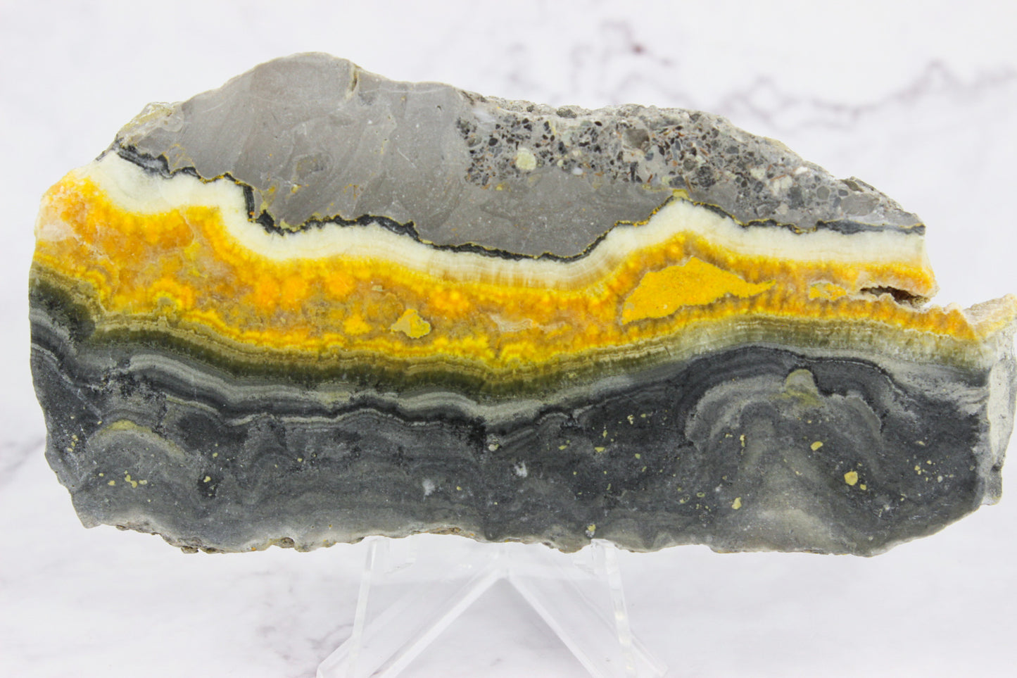 Bumble Bee Jasper Slab #2