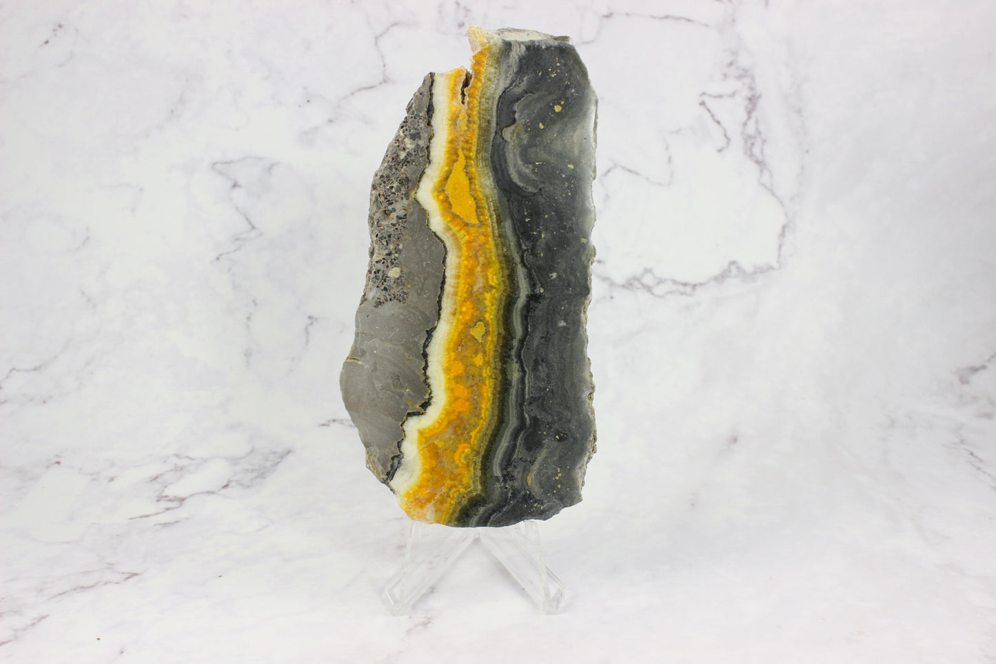 Bumble Bee Jasper Slab #2