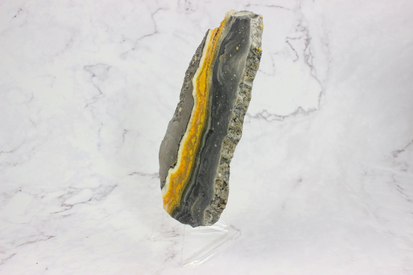 Bumble Bee Jasper Slab #2