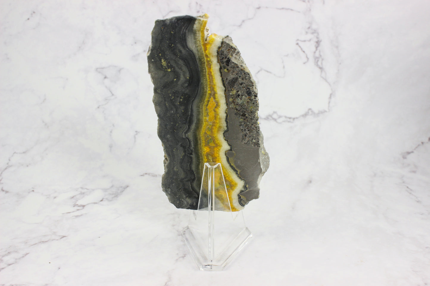 Bumble Bee Jasper Slab #2