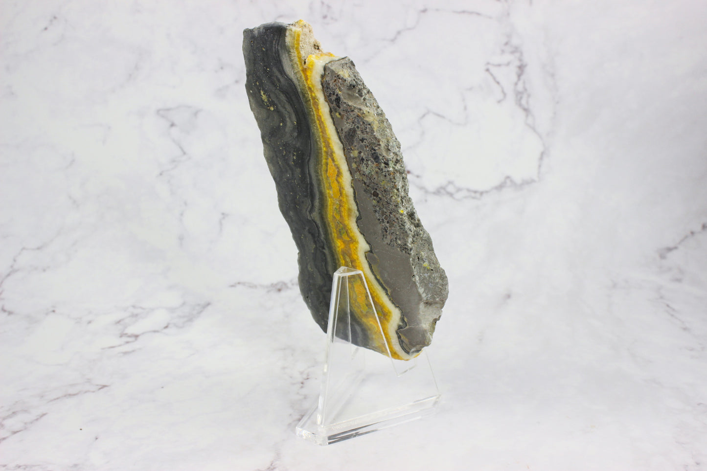 Bumble Bee Jasper Slab #2
