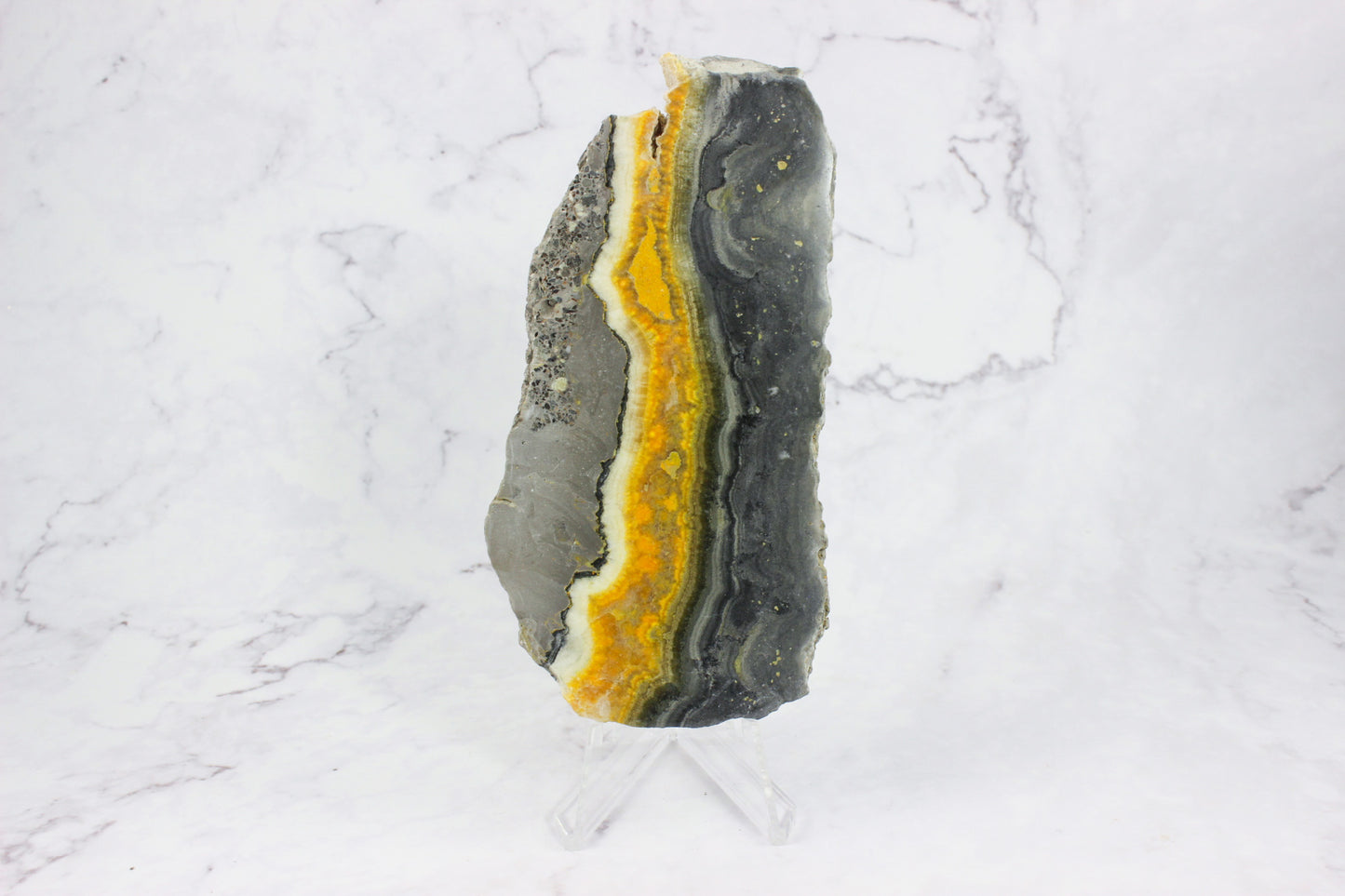 Bumble Bee Jasper Slab #2