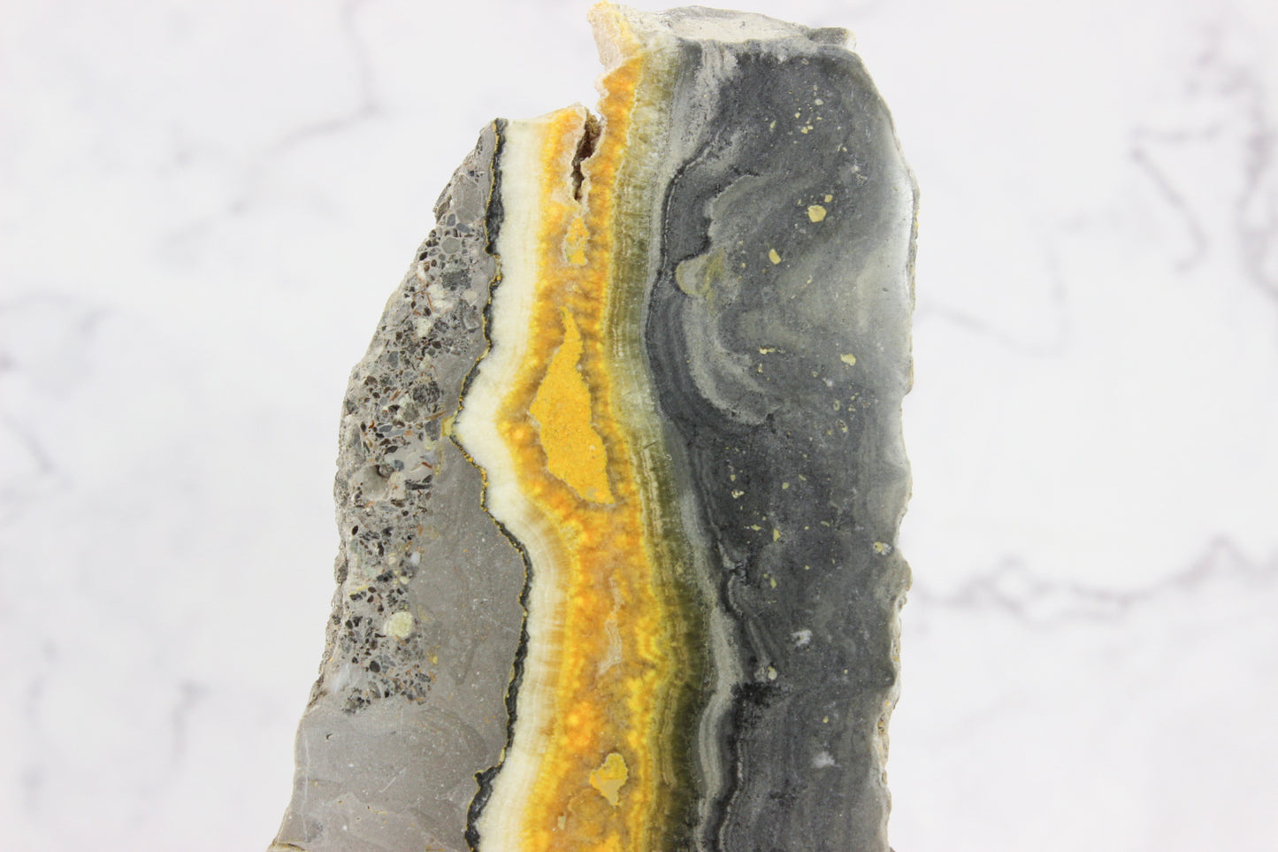 Bumble Bee Jasper Slab #2