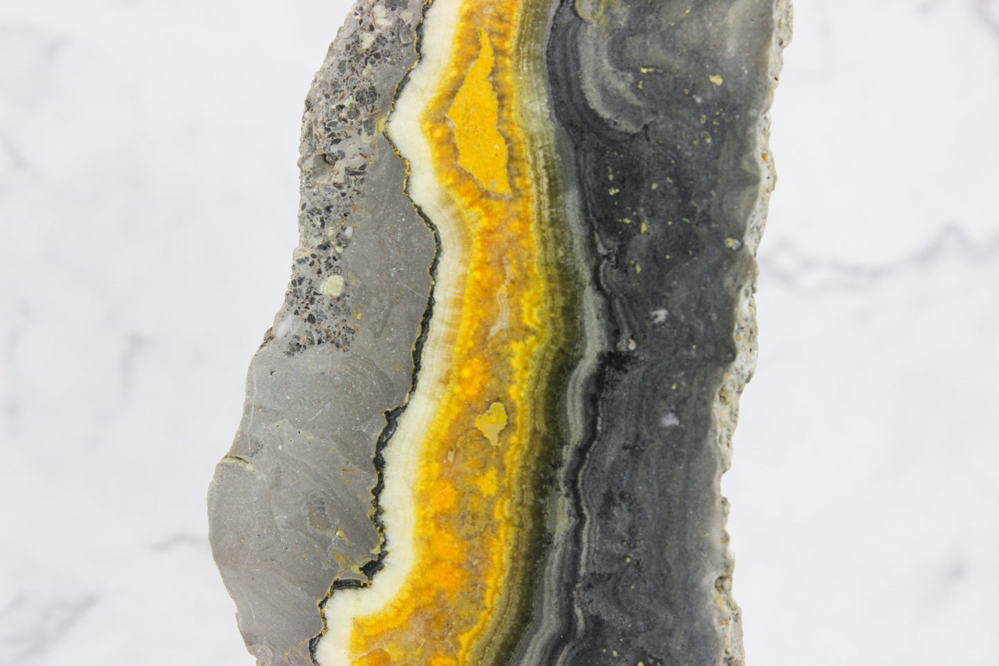 Bumble Bee Jasper Slab #2
