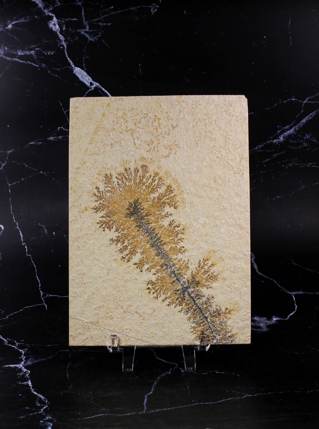 Dendritic Sandstone