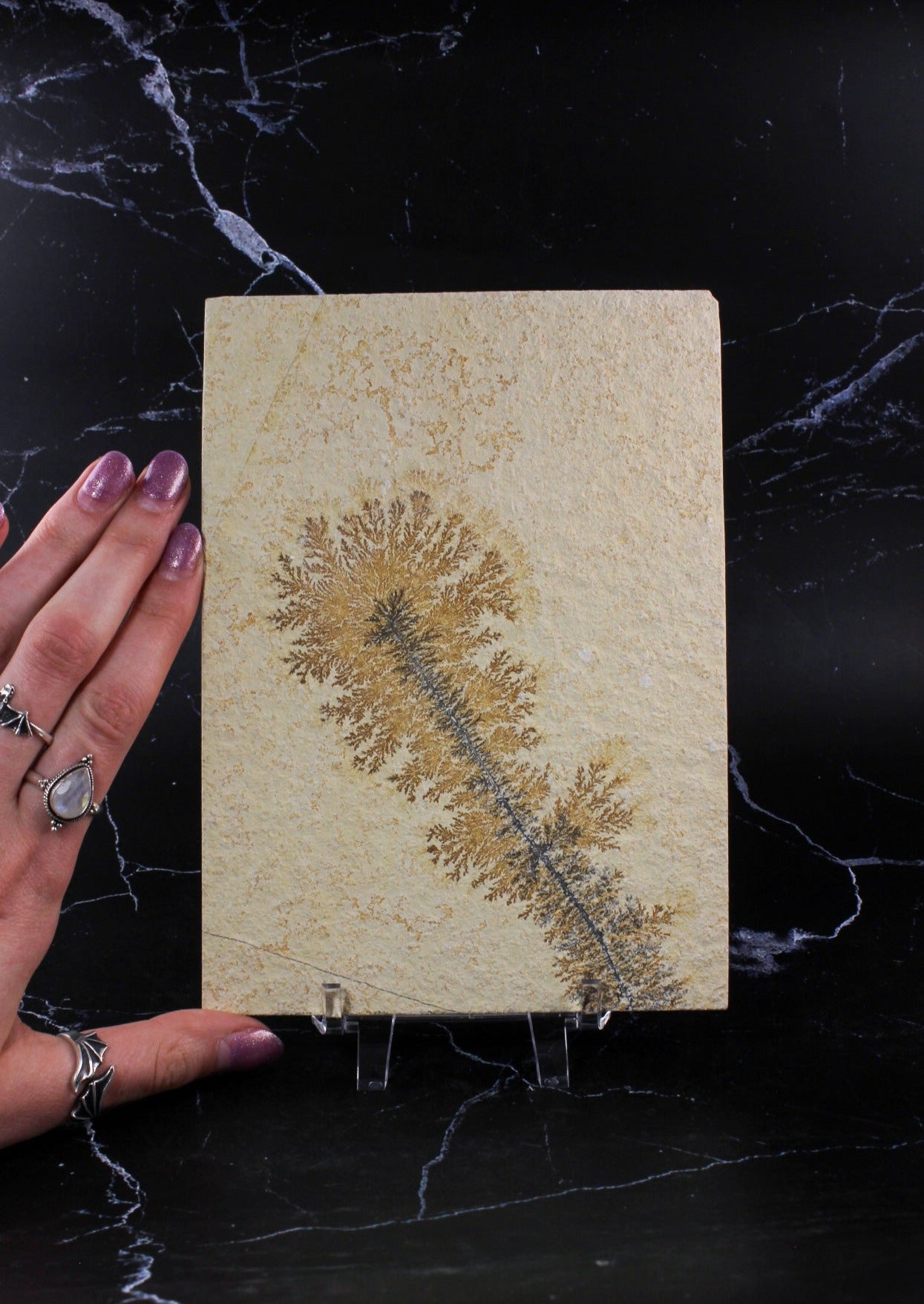 Dendritic Sandstone