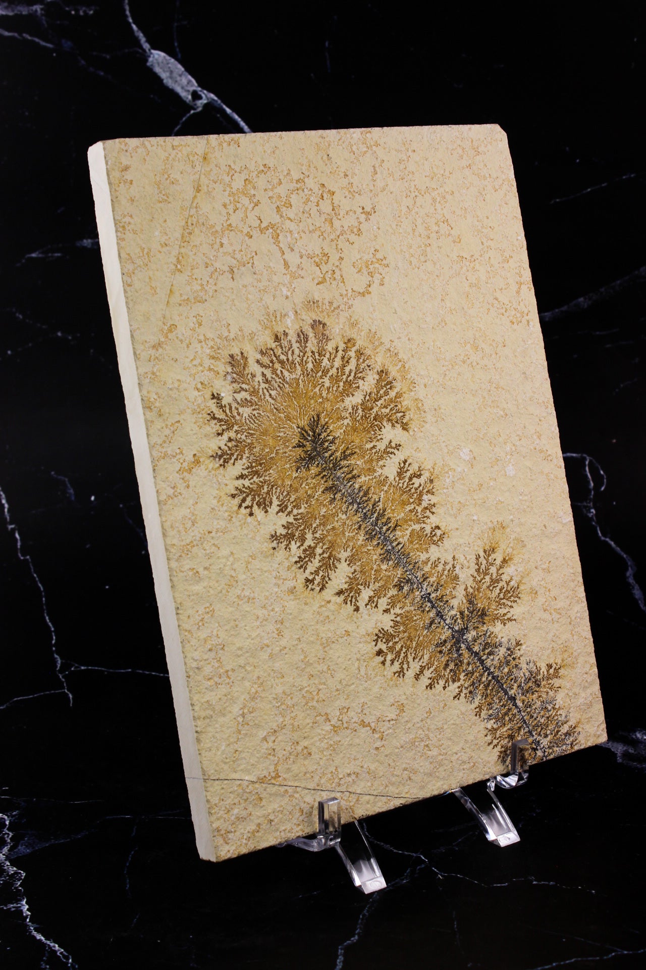 Dendritic Sandstone