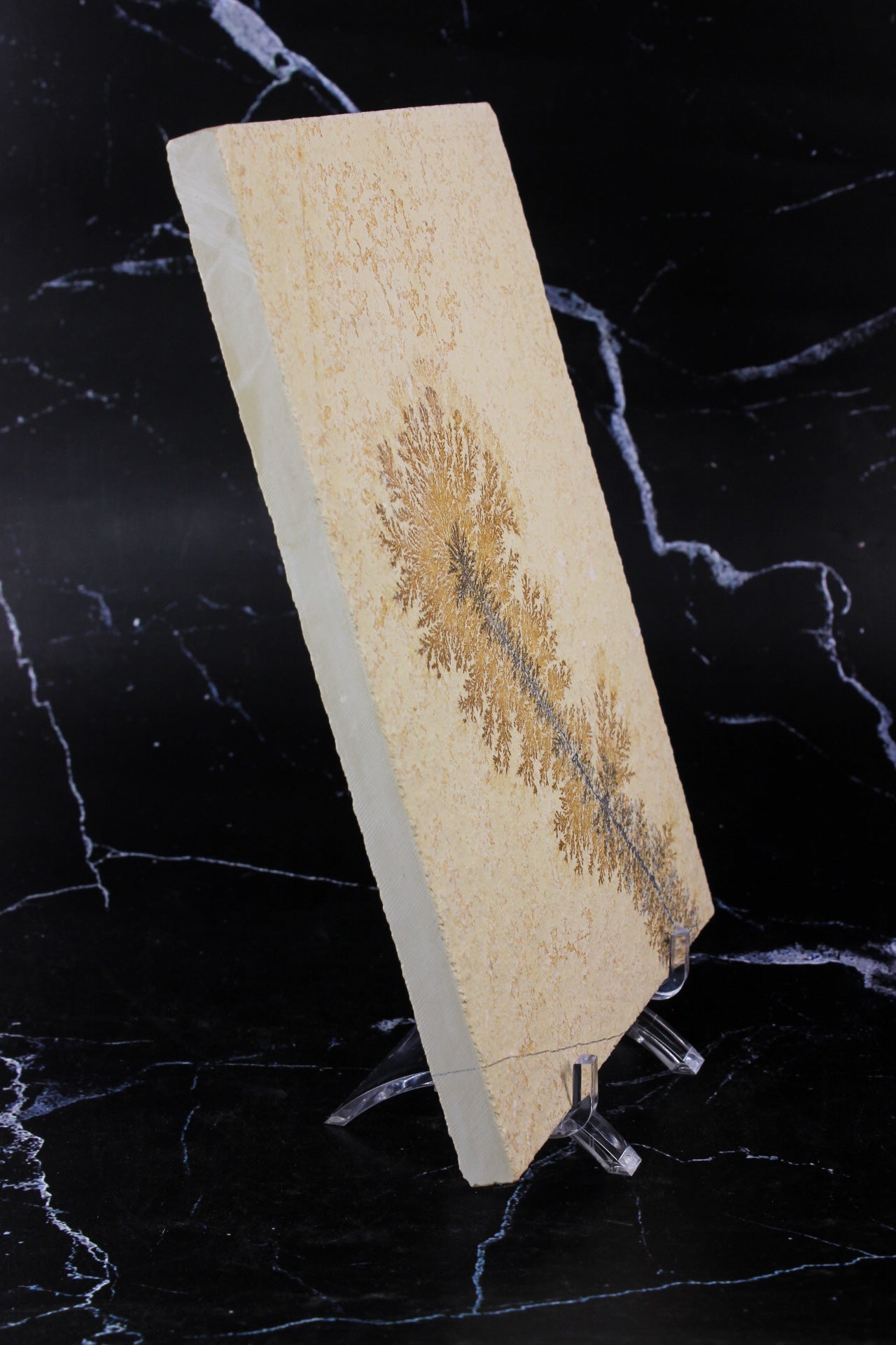Dendritic Sandstone
