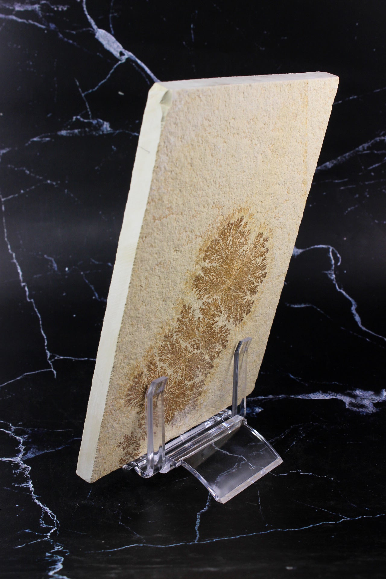 Dendritic Sandstone