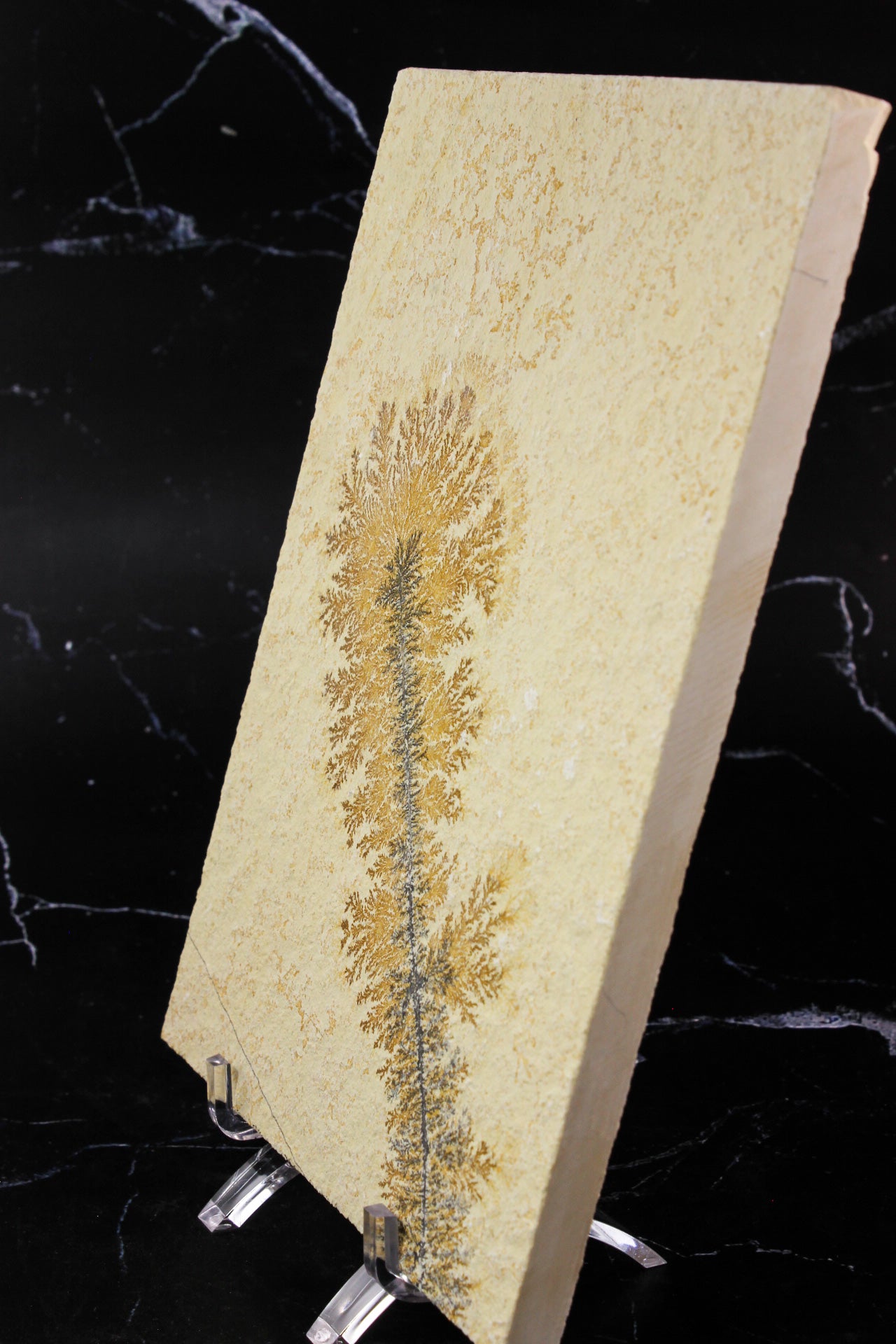 Dendritic Sandstone